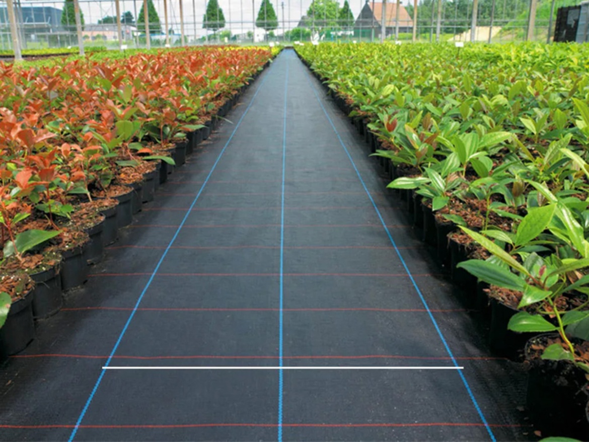 Mulčovací textílie s pruhy Covernit