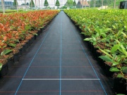 Mulčovací textílie s pruhy Covernit