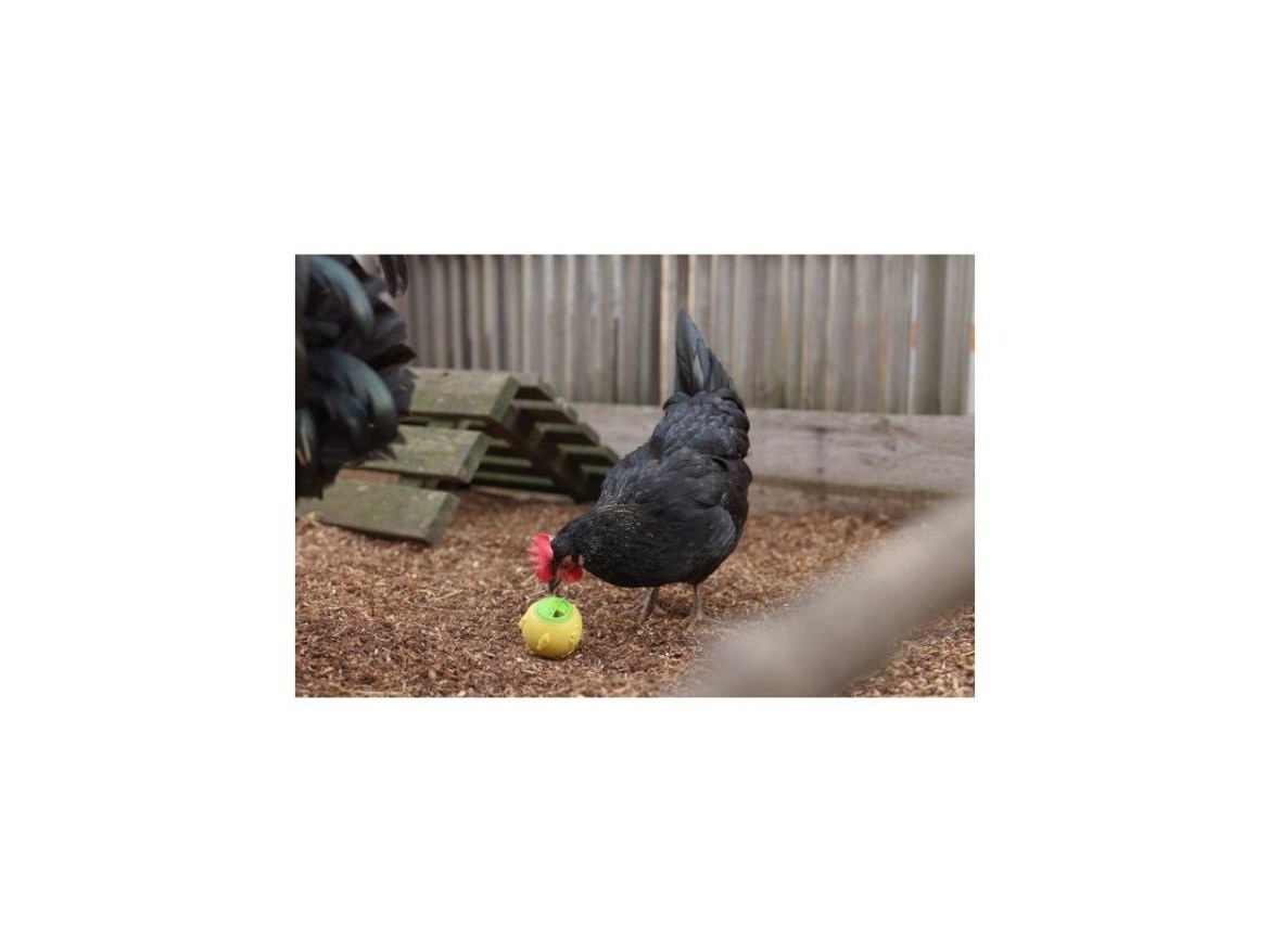 Scobax Krmítko pro drůbež - míček na zrní pro slepice, 7,5 cm