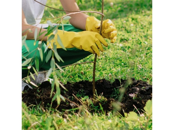 Půdní vrták + 2 vrtáky Scheppach EB 2000