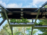 Juliana Horní police