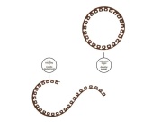 Bradas Obruba trávníku Easy Border 10 m, výška 40 mm - hnědá