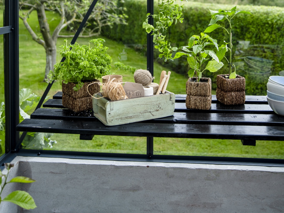 Pálmaház Juliana Grand Oase On-Wall