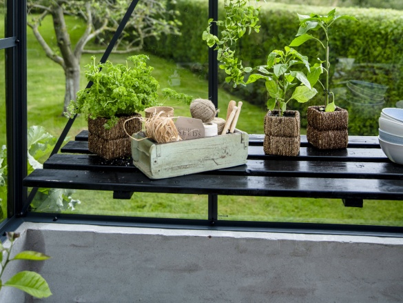 Pálmaház Juliana Grand Oase On-Wall