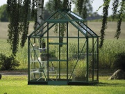 Üvegház Halls Icon 6