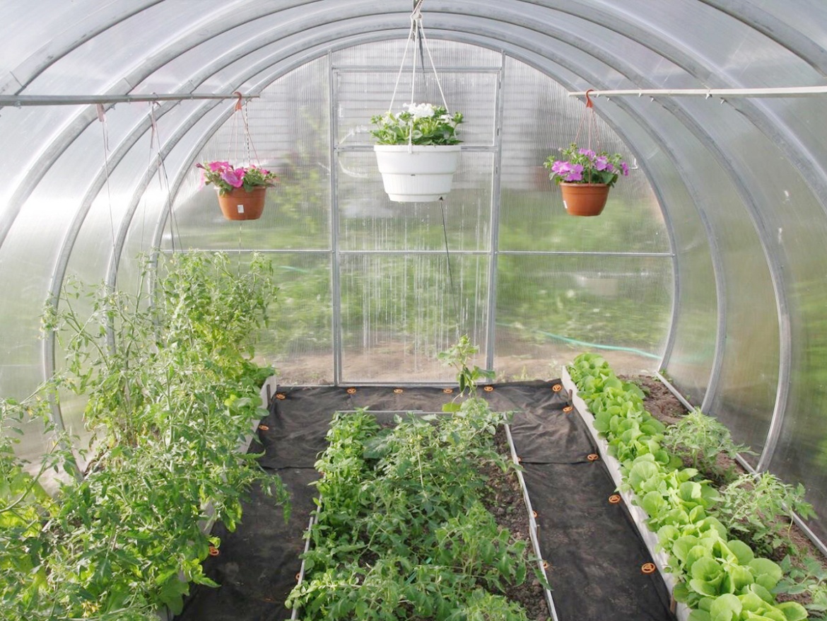 Skleník Lanit Plast Dněpr