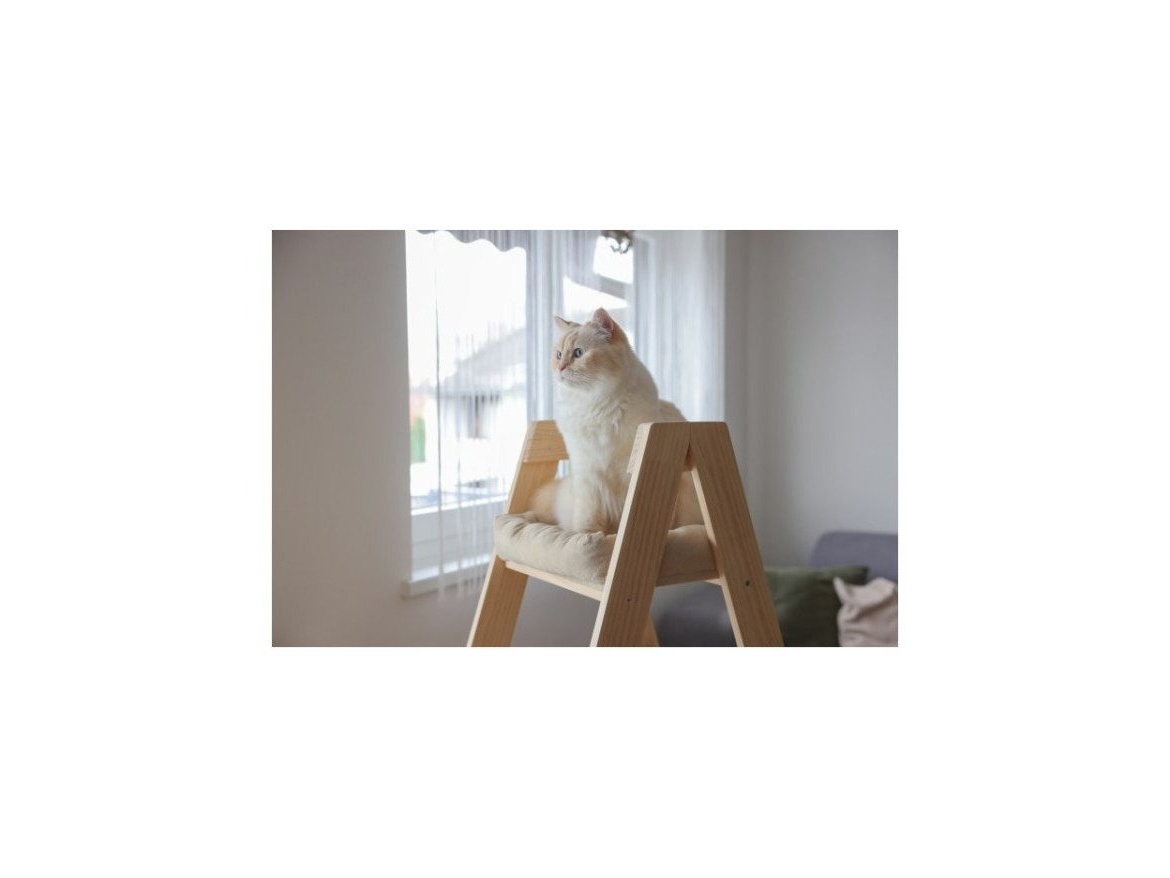 Scobax Schůdky pro kočky, 134 cm, béžová