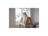 Scobax Schůdky pro kočky, 134 cm, béžová