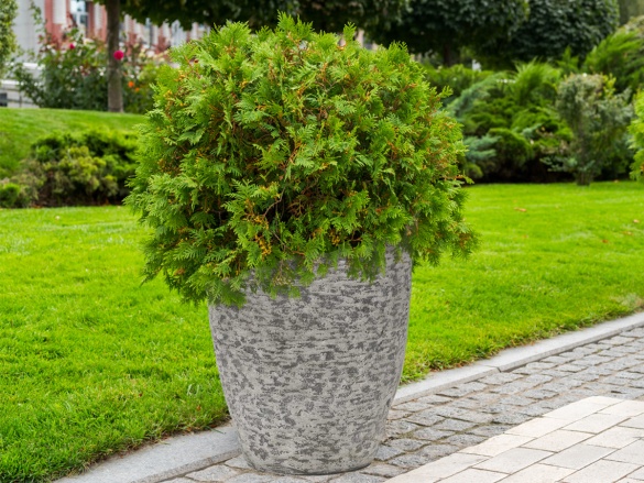 G21 Květináč Natur Plump