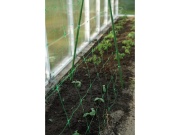 Bradas Síť pro pnoucí rostliny Plant Net 2x10m