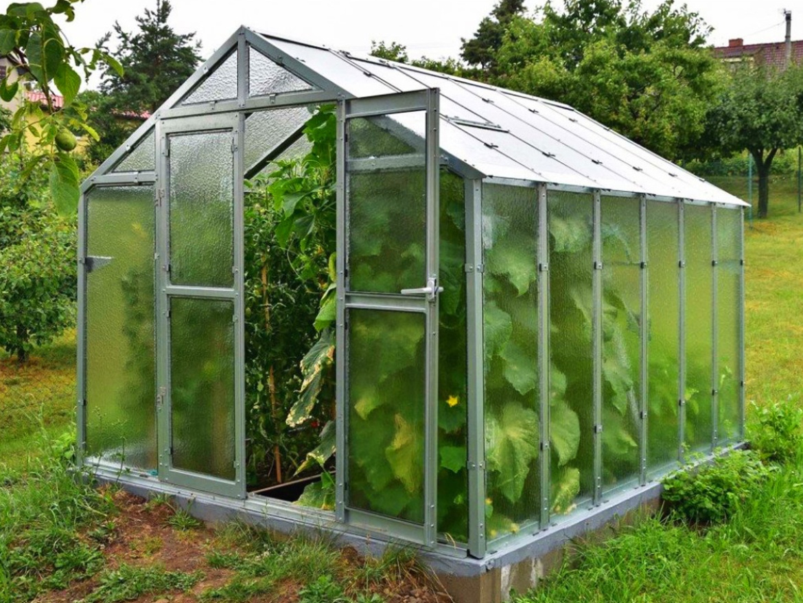 Skleník Limes Variant