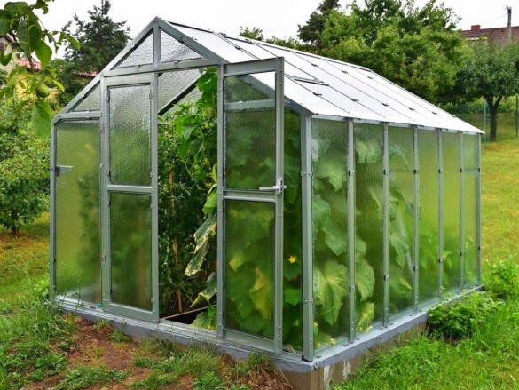 Skleník Limes Variant