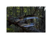 Skládací pila Silky Gomboy Curve Professional 240-8 Outback Edition