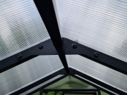 Üvegház Scobax Penny