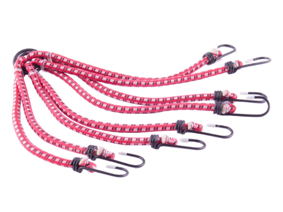 Scobax Upínadlo gumové pavouk