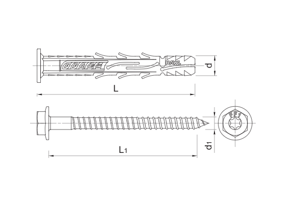Nezápustná s šestihrannou hlavou TORX a podložkou Rawlplug R-FF1-K