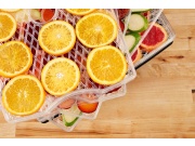 G21 Sušička ovoce  Paradiso big, white