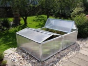 BOX Scobax Growspot BOX 4