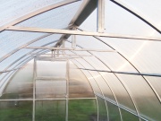 Skleník Scobax Violik