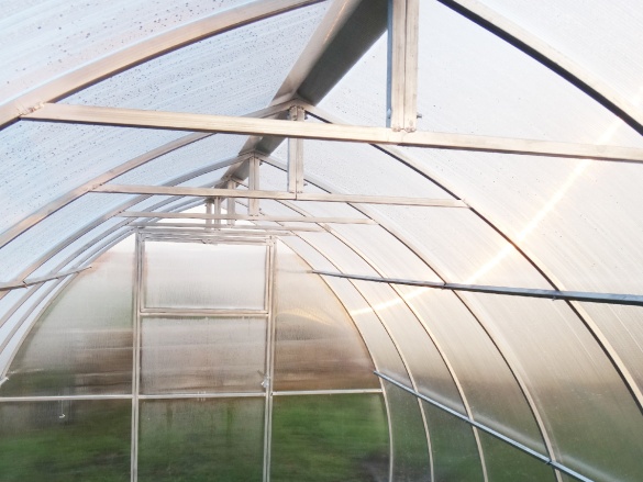 Skleník Scobax Violik