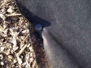 Bradas Plastové kolíky 12cm - upevňovací kotva/100ks