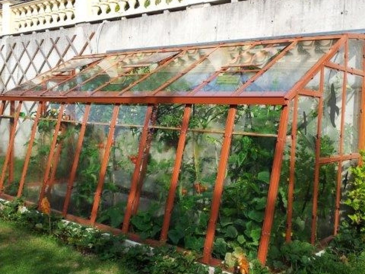 Skleník Limes Variant (přístavba)