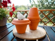 Olla: geniální starodávný zavlažovací systém