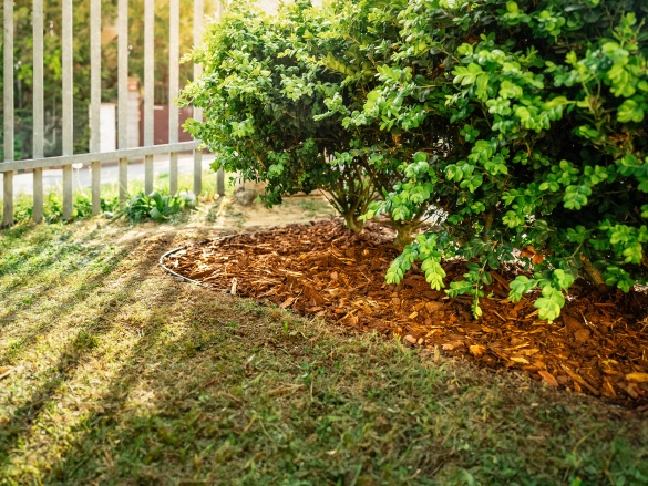 Neviditelné obrubníky: co jsou a jak je osadit