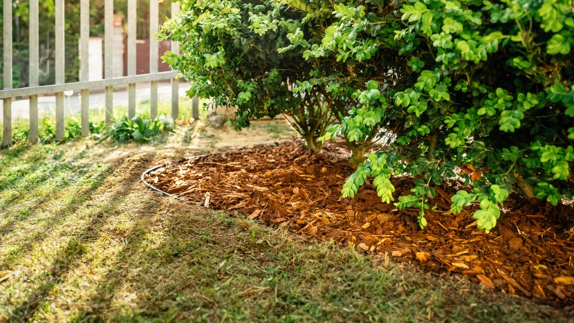 Neviditeľné obrubníky: čo sú a ako ich osadiť