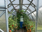 Skleník Volya Strelka