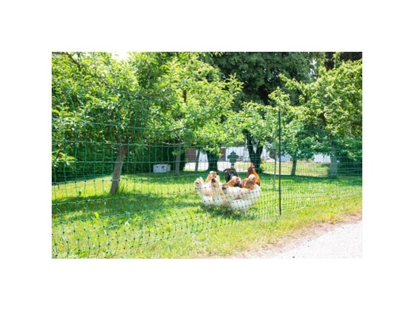 Scobax Síť premium nevodivá pro drůbež 122 cm, 50 m, zelená