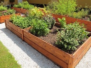 Den Braven Olej Sct. Croix