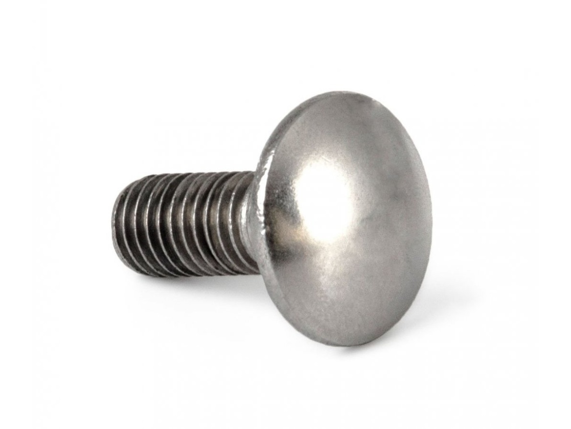 G21 Šroub  vratový M10x25, DIN 603, nerez