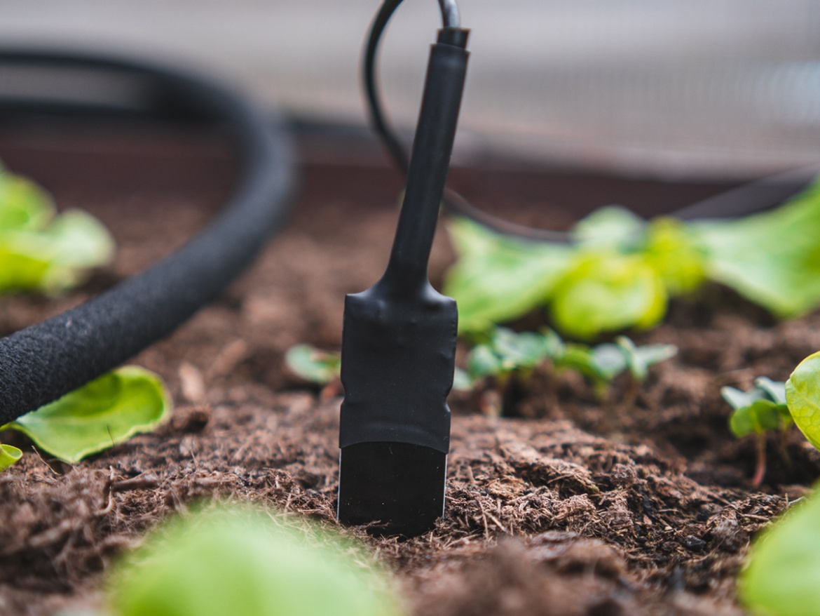 Senzor vlhkosti půdy Sensorie