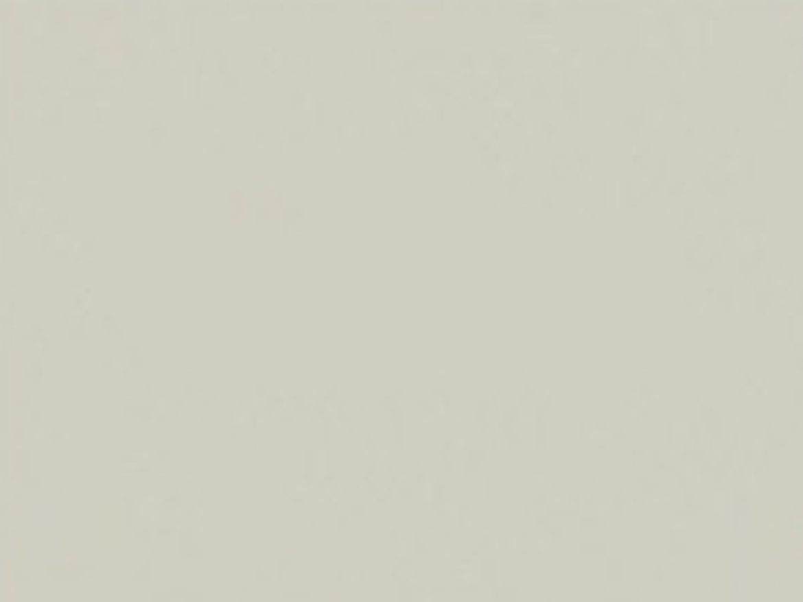 Baumit Silikon Baumit Baumacol