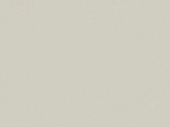 Baumit Silikon Baumit Baumacol