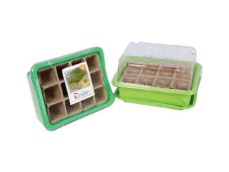 Üveg –  OEM Petty