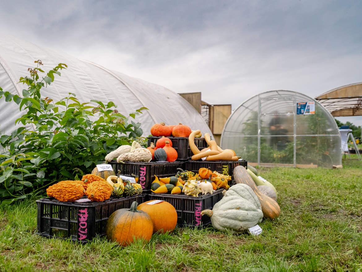 Autonóm üvegházunk egy hortibotanikus napon