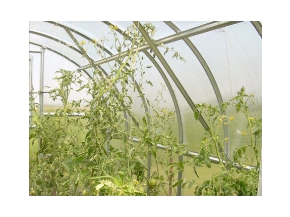 Covernit Konstrukce zahradního skleníku Classic