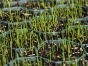 Zatravňovací tvárnice Fastrade Traway T160