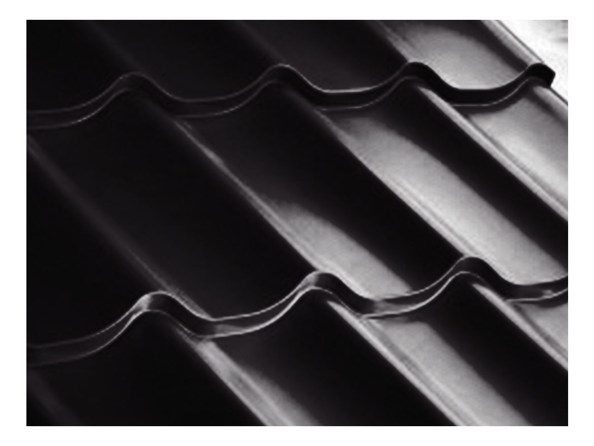 Taškový plech Budmat Sara