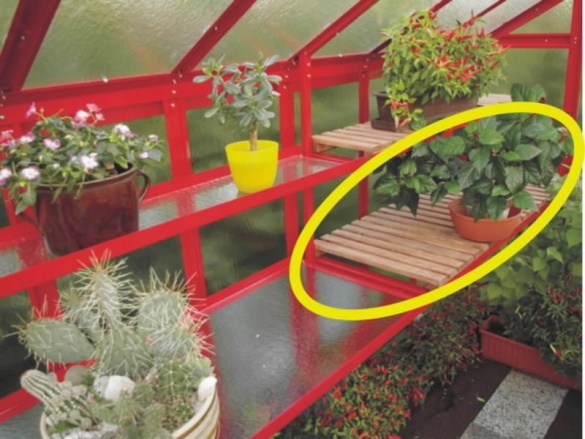 Pěstební stůl Limes Primus pěstební rošt