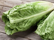 Mit kell termeszteni az üvegházban ősszel