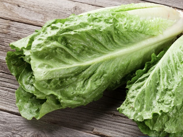 Mit kell termeszteni az üvegházban ősszel