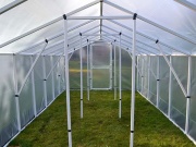 Fóliovník Scobax Mandava