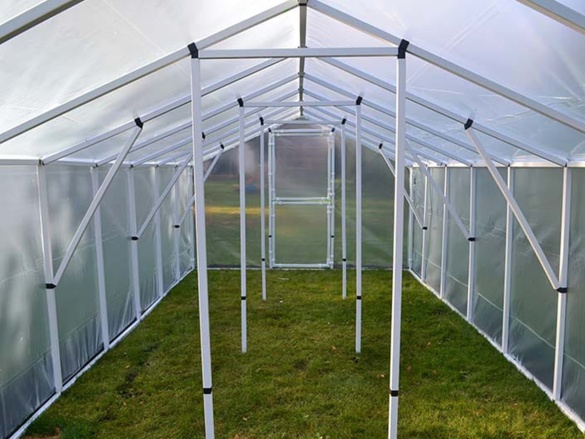 Fóliovník Scobax Mandava