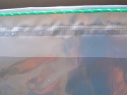 Foliovník Scobax Maple