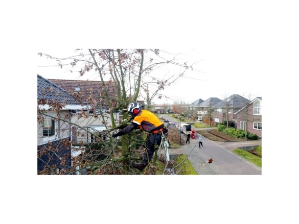 Píla so zahnutou pevnou čepeľou Silky Zübat Ultimate 330-7.5-6.5