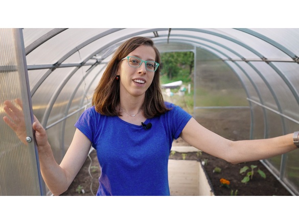 Hozzon létre tökéletes virágágyásokat