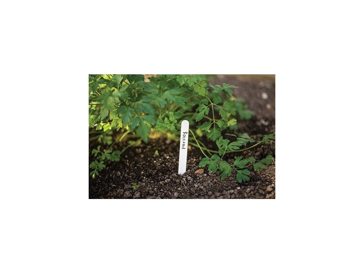 Bradas Štítky zapichovací k rostlinám 15x1,5cm/25ks